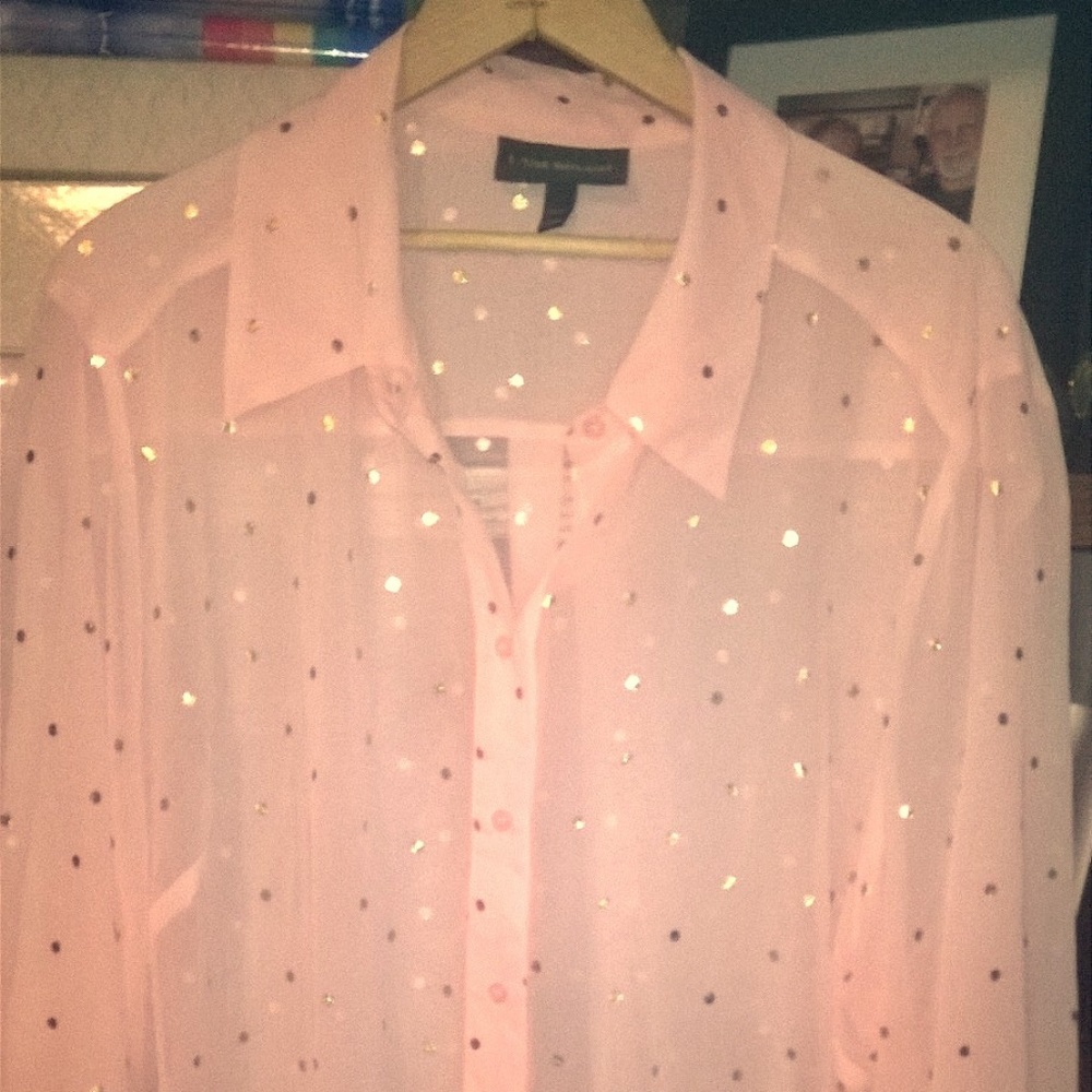 Lane Bryant - Light Pink with Gold Sheer Blouse 22